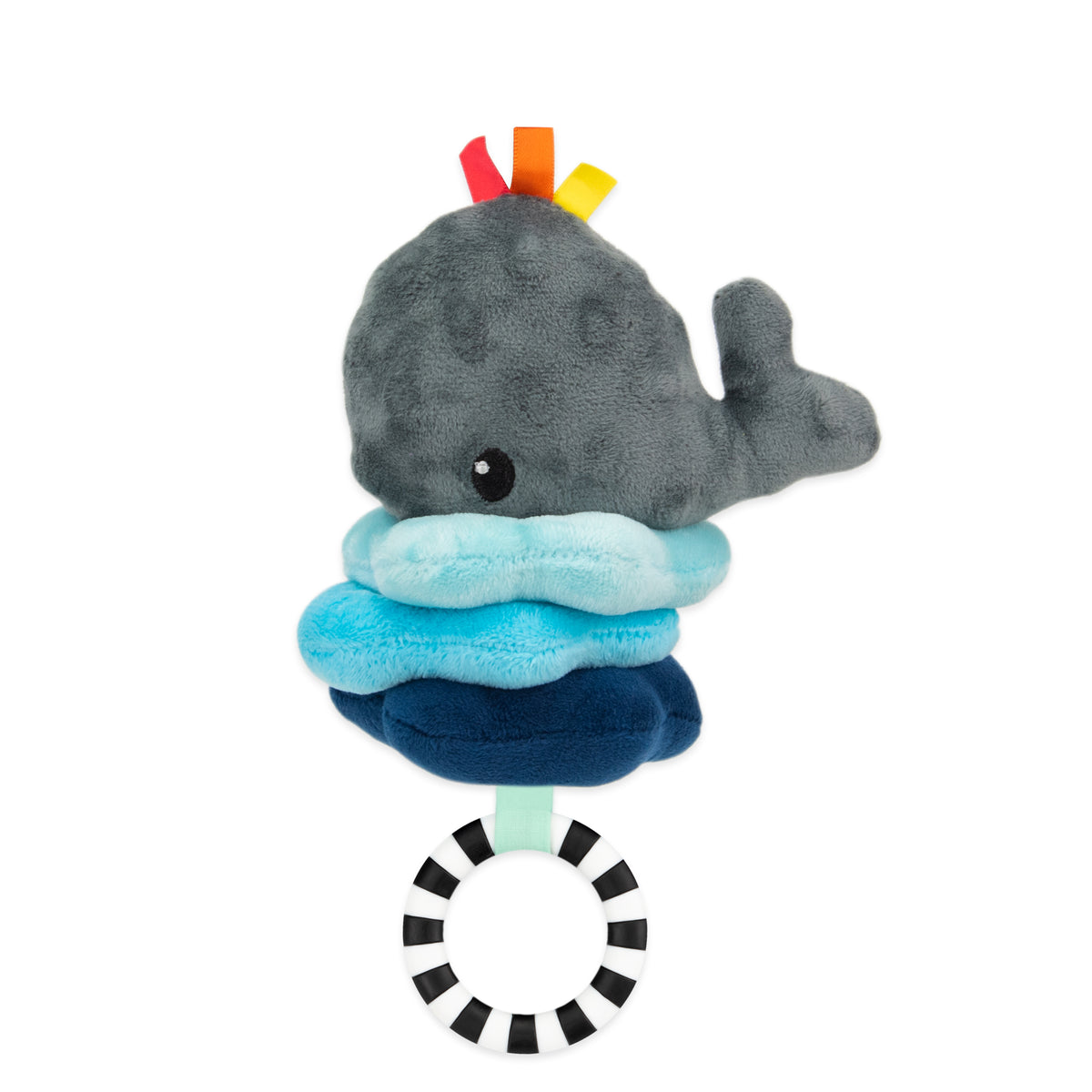 Sassy Wavy Whale