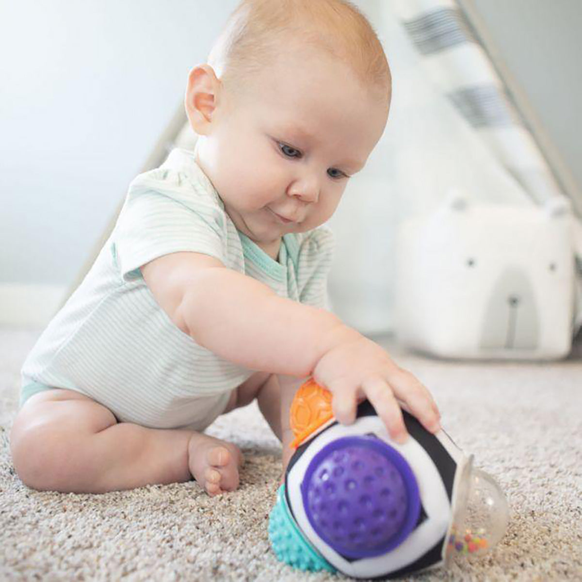 Sassy Chime and Chew Textured Ball