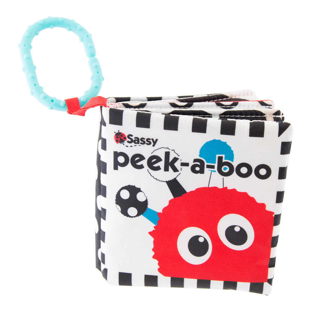 Sassy Peek-a-Boo Soft Book