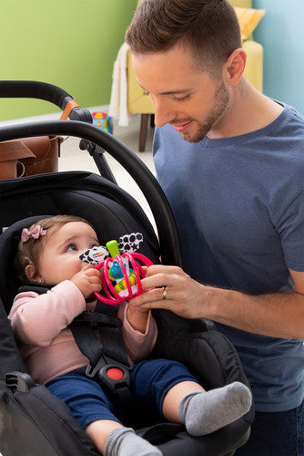 Lamaze Grab Apple