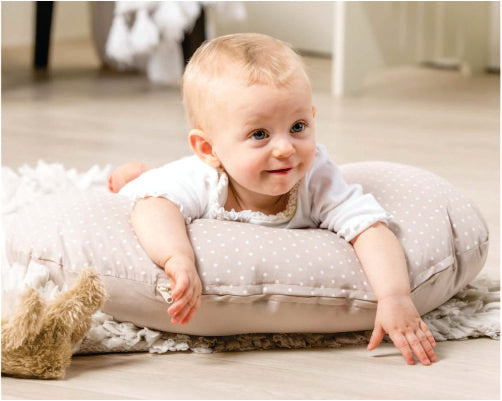 Tula Baby Nursing Pillow