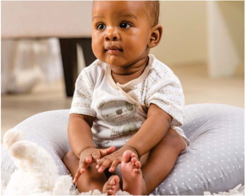Tula Baby Nursing Pillow
